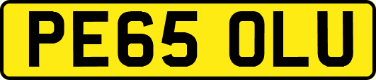 PE65OLU