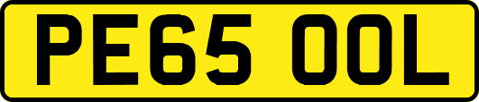 PE65OOL