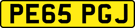 PE65PGJ