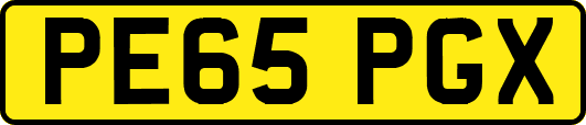 PE65PGX