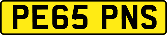 PE65PNS