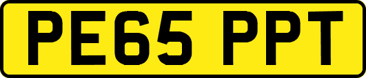 PE65PPT