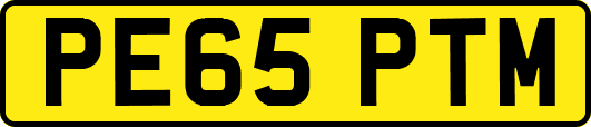 PE65PTM