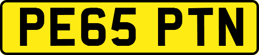 PE65PTN