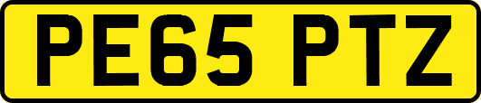 PE65PTZ