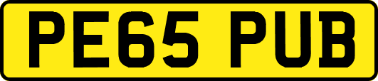 PE65PUB