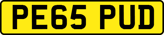 PE65PUD