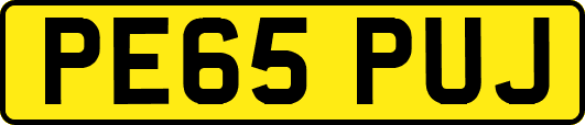 PE65PUJ
