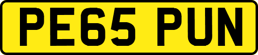 PE65PUN