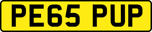 PE65PUP
