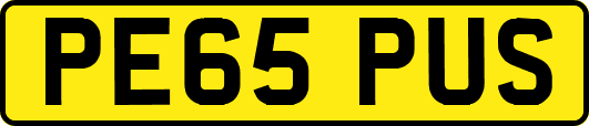 PE65PUS