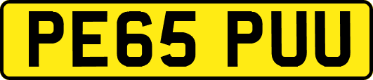 PE65PUU