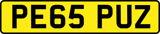 PE65PUZ