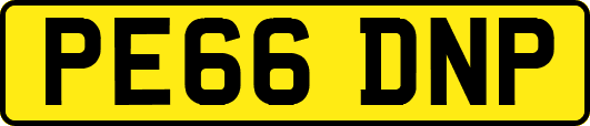 PE66DNP