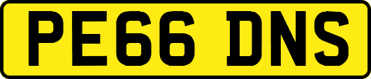 PE66DNS