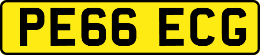 PE66ECG