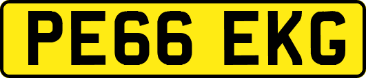 PE66EKG