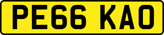 PE66KAO