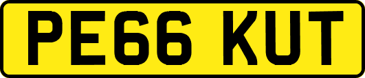 PE66KUT