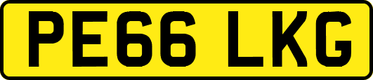 PE66LKG
