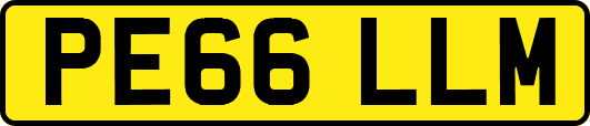 PE66LLM