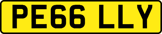 PE66LLY