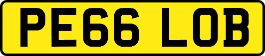 PE66LOB