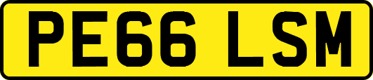 PE66LSM