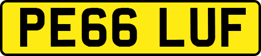 PE66LUF