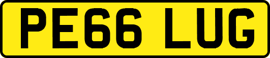 PE66LUG