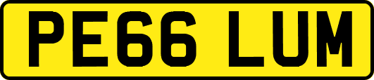 PE66LUM