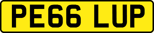 PE66LUP