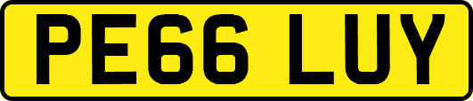 PE66LUY