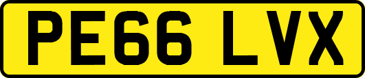 PE66LVX