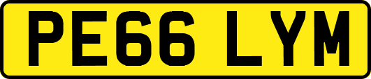 PE66LYM