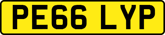 PE66LYP