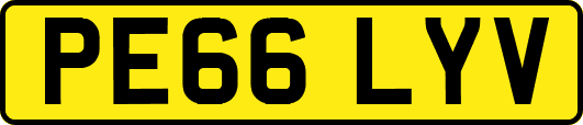 PE66LYV