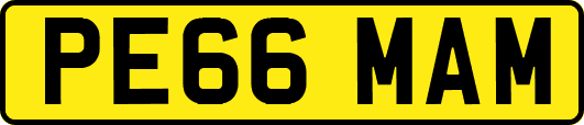 PE66MAM