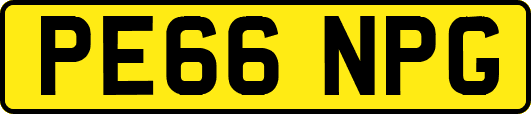 PE66NPG