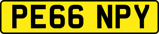 PE66NPY