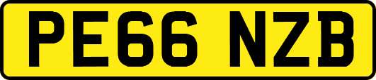 PE66NZB
