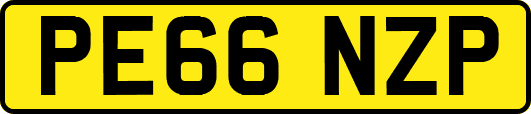 PE66NZP