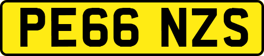 PE66NZS
