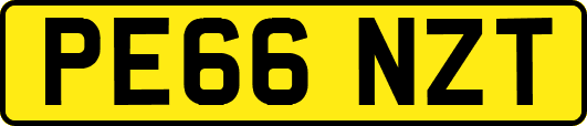 PE66NZT