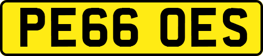 PE66OES
