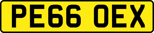 PE66OEX
