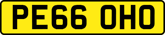 PE66OHO