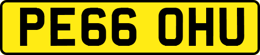 PE66OHU