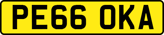 PE66OKA