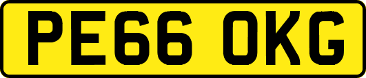 PE66OKG